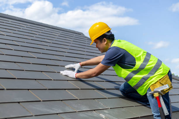 Best Roof Gutter Cleaning  in Allen, TX